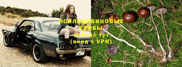 амф Няндома