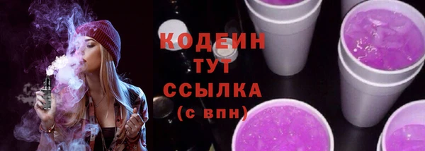 амф Няндома