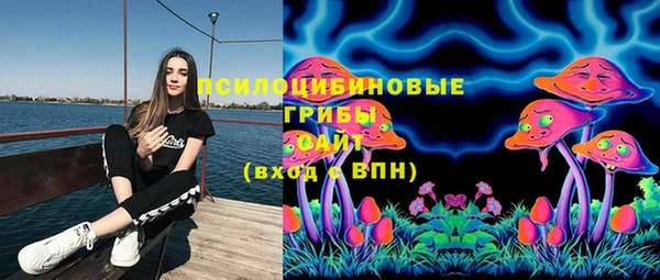 амф Няндома