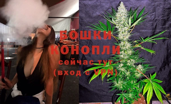 амф Няндома