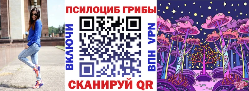 OMG tor  Купино  Псилоцибиновые грибы ЛСД 